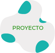 Volver a el proyecto